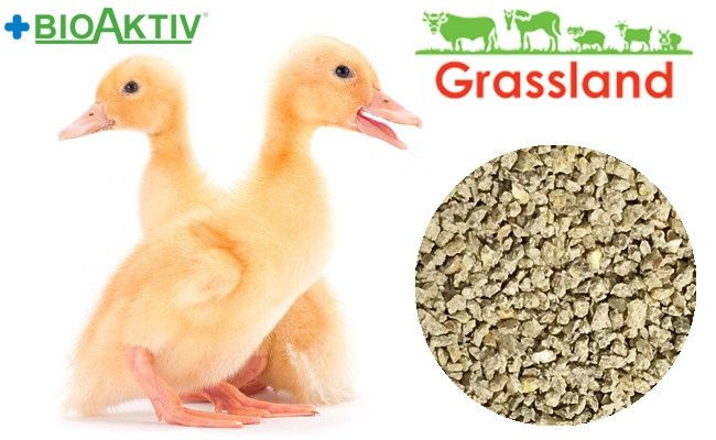 Комбікорм Grassland в асортименті! Найкраща ціна