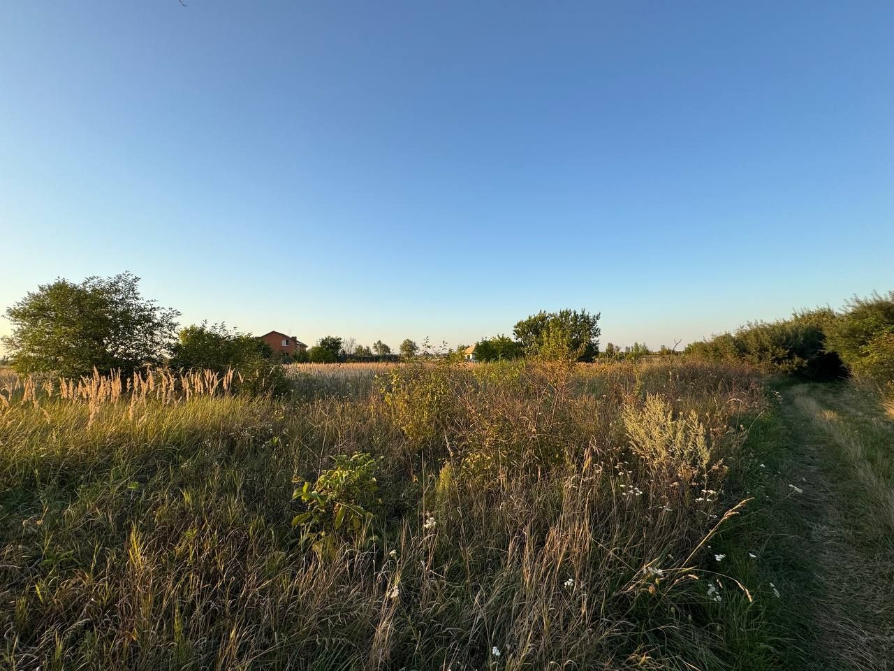 Земельна ділянка в Козаровичах