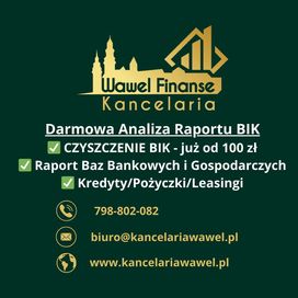 Czyszczenie BIK BIG KRD i zapytań - Darmowa Analiza i Konsultacja