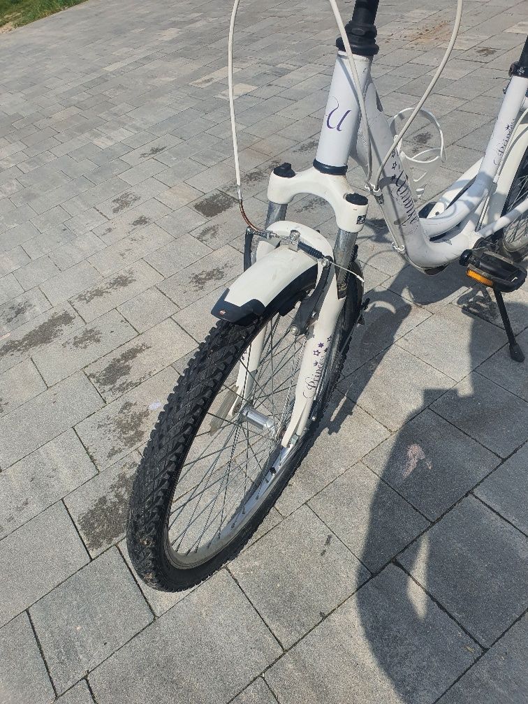 Rower princess Unibike