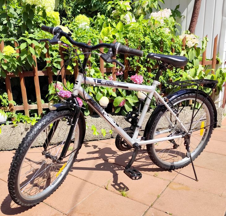 Rower FREEROAD Park Lane 24"