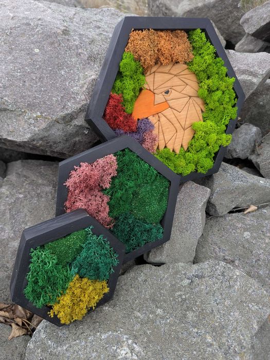 Соти декор в інтер'єр на стіну картина з моху Панно з дерева Мозаїка