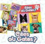 Cromos Panini "Cães ou Gatos?" (ler descrição)