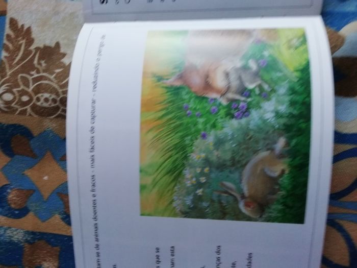 O porquê de conservar e a toupeira