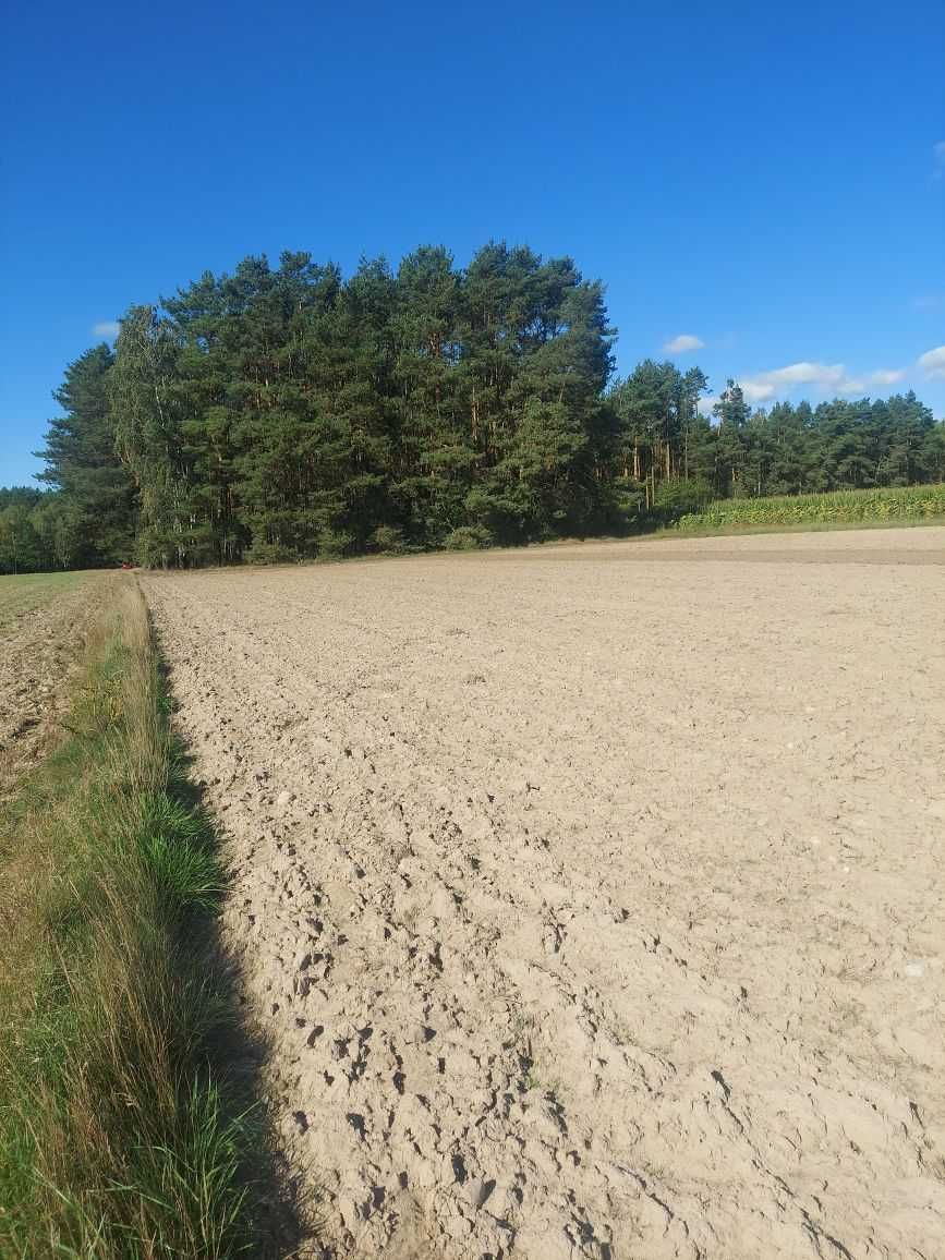 Działka rolno-leśna o pow. 2,15 ha