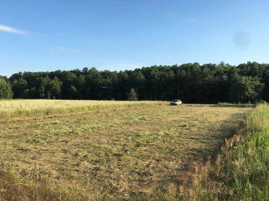 Покос трави ,зрізання кущів , розчистка території