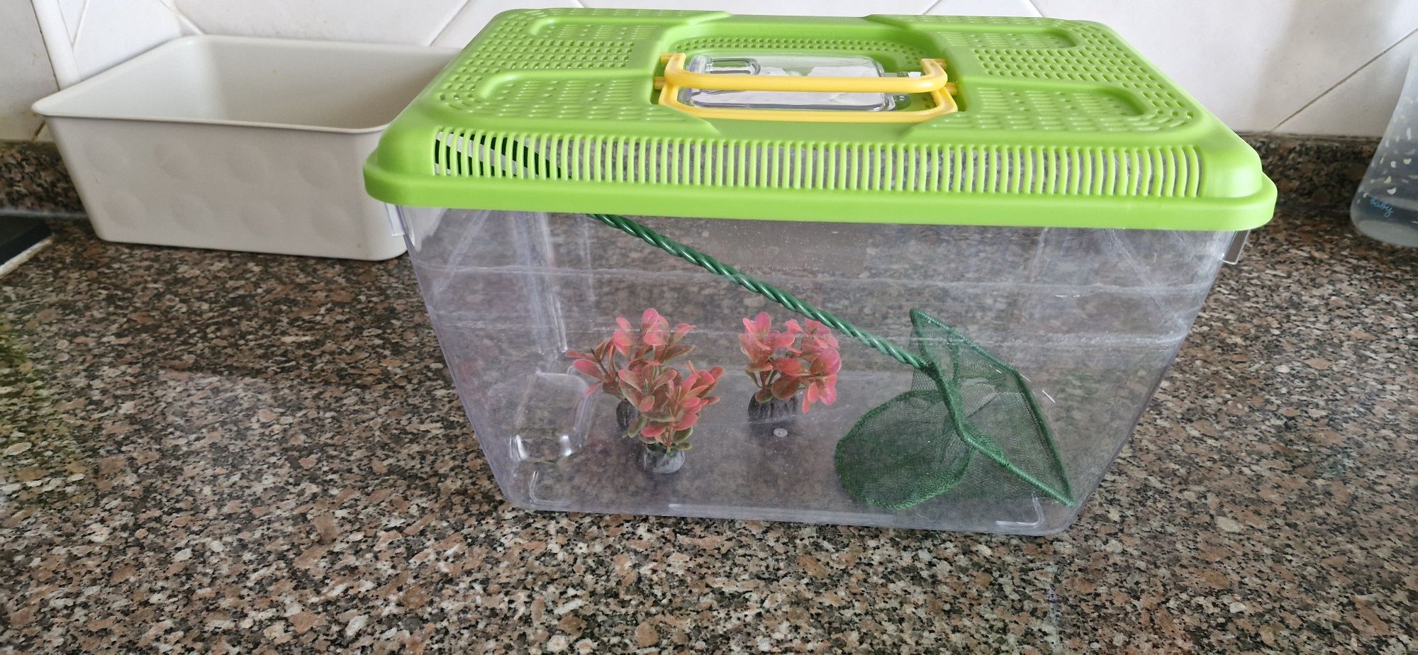 Aquário com acessorios