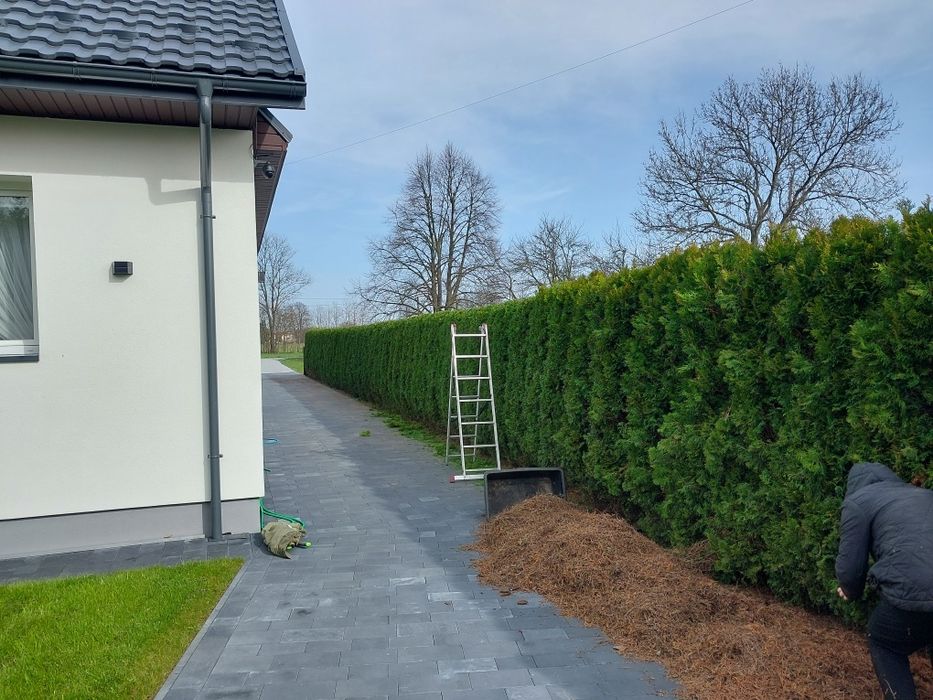 Usługi budowlane ogrodnicze, prace ziemne, wycinka drzew/krzaków rębak