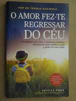 O Amor Fez-te Regressar do Céu de Arielle Ford