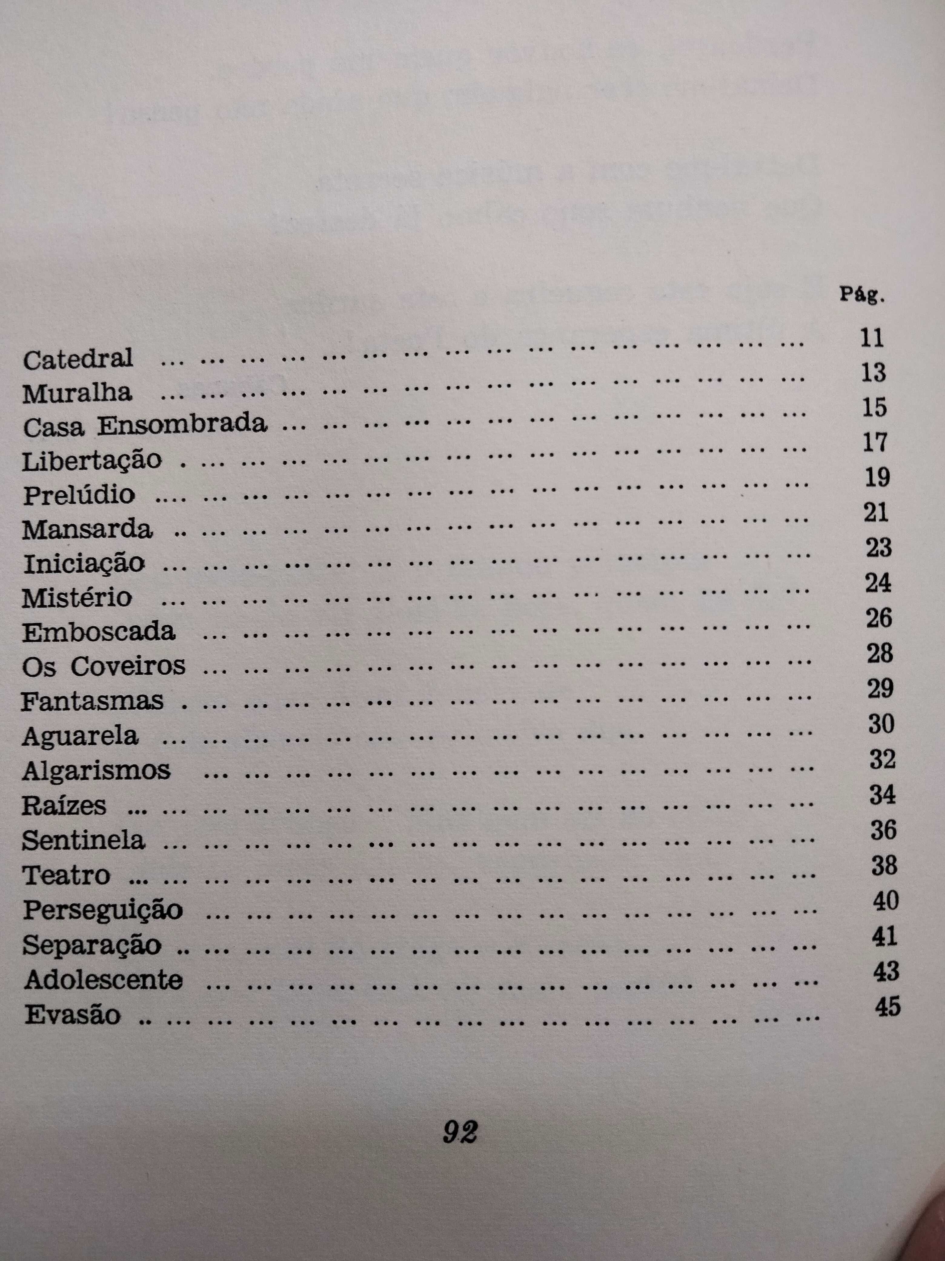 Nós Portugueses Somos Castos - Pedro Homem de Mello