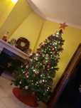 Arvore de natal 2M