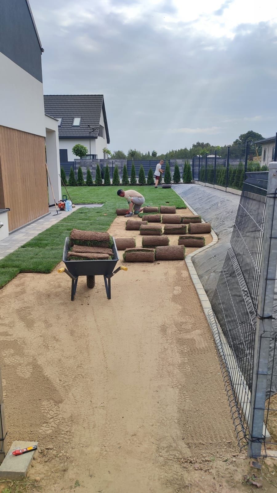 Trawa z rolki Barenbrug rożne odmiany, Producent.
