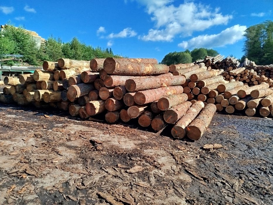 Tarcica, wiezba dachowa, deski, kantówka, tartak, tarcica modrzew, swi