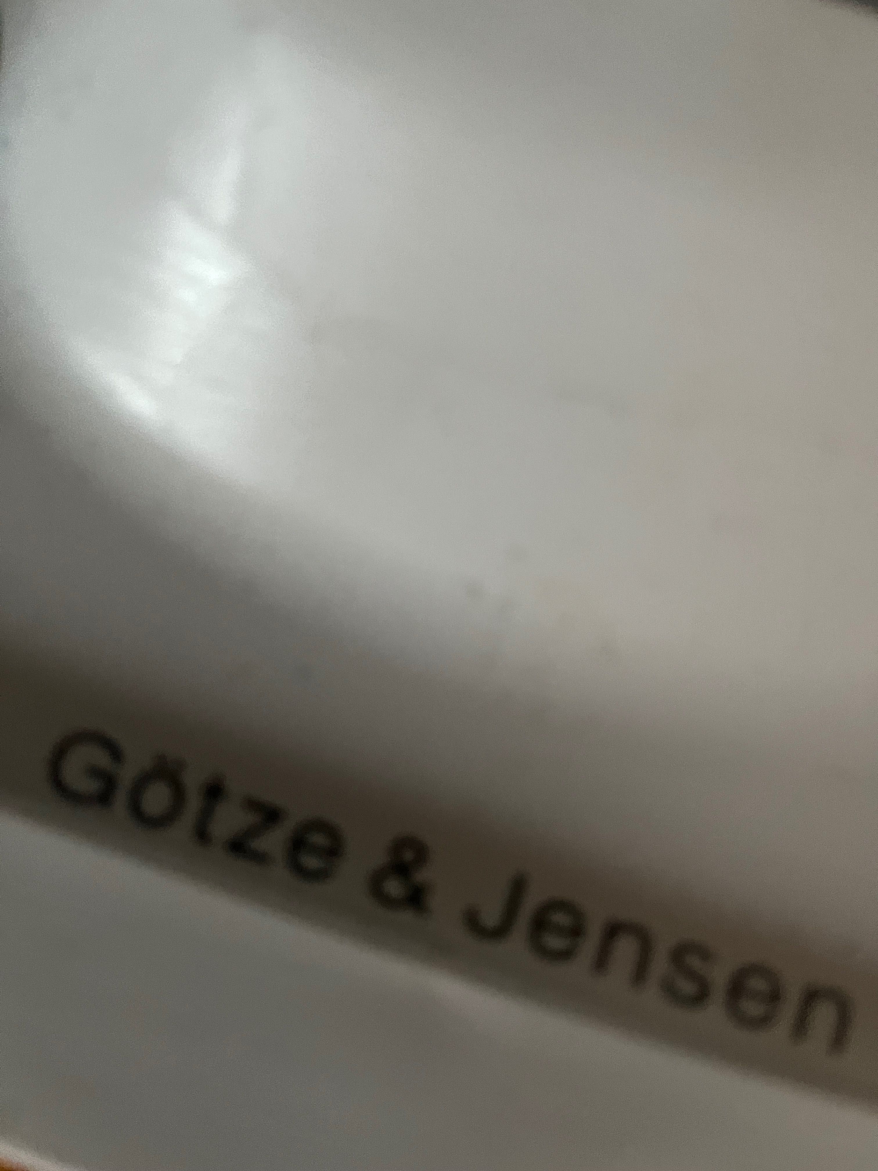 Mop parowy Gotze