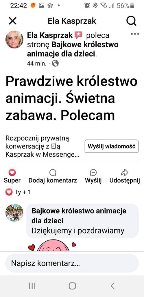 Animacje dla dzieci ,piana party,organizujemy imprezy plenerowe.
