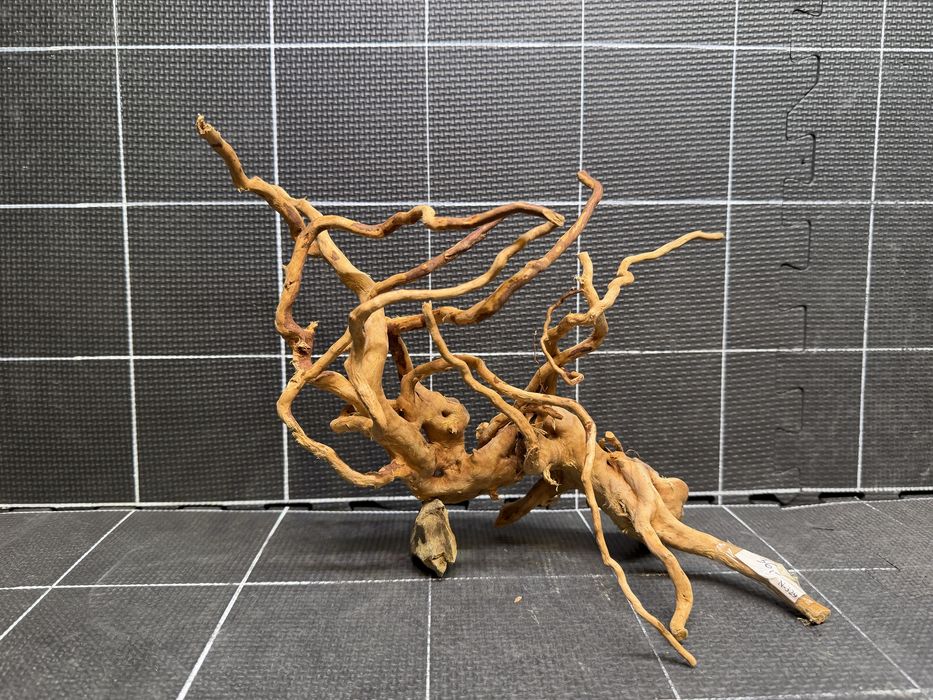 Korzeń red moor wood n-329