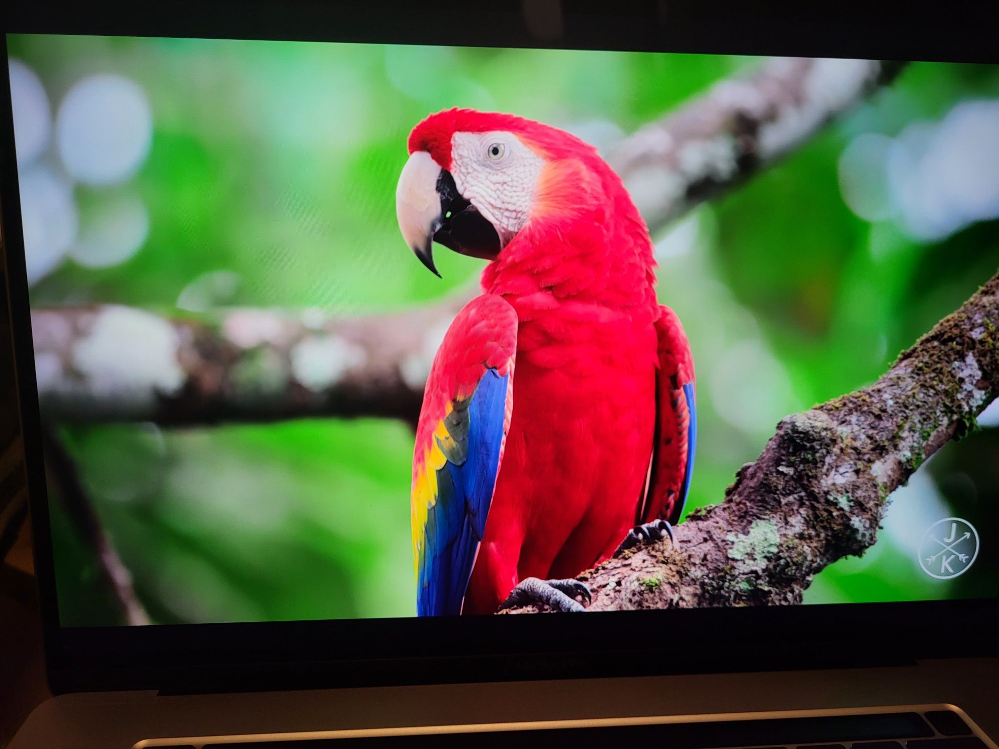 Macbook A2141 16" 2019 i9 16gb 1tb radeon 5500