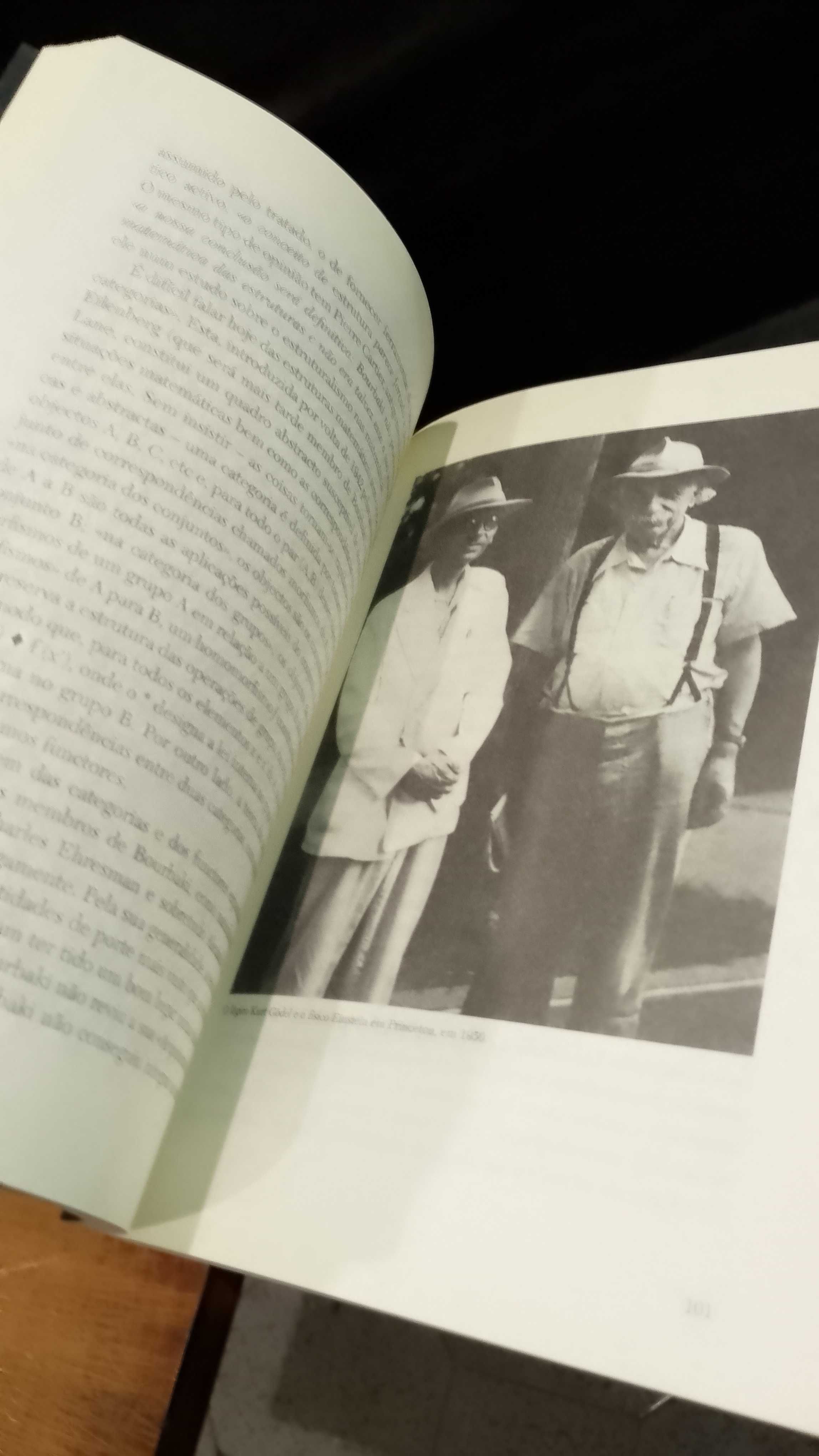 Bourbaki: Uma sociedade secreta - Maurice Mashaal