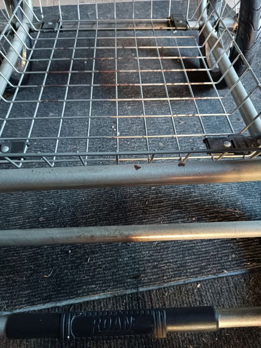 Терміново продам! Roan cortina