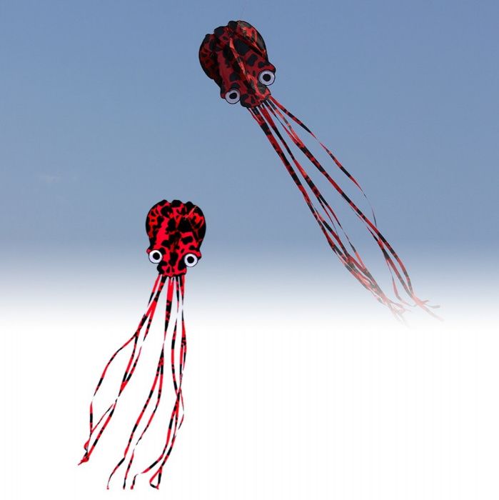 Воздушный змеи осьминог 4 м. 3D пилотажный кайт пара дельта, выбор