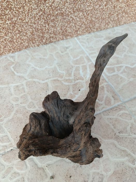 Коряга корч для аквариума дерево Ольхи