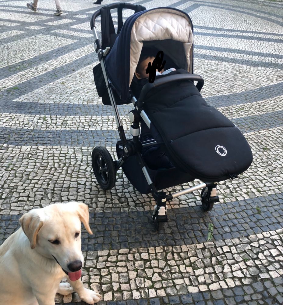 Bugaboo Cameleon 3 + acessorios
