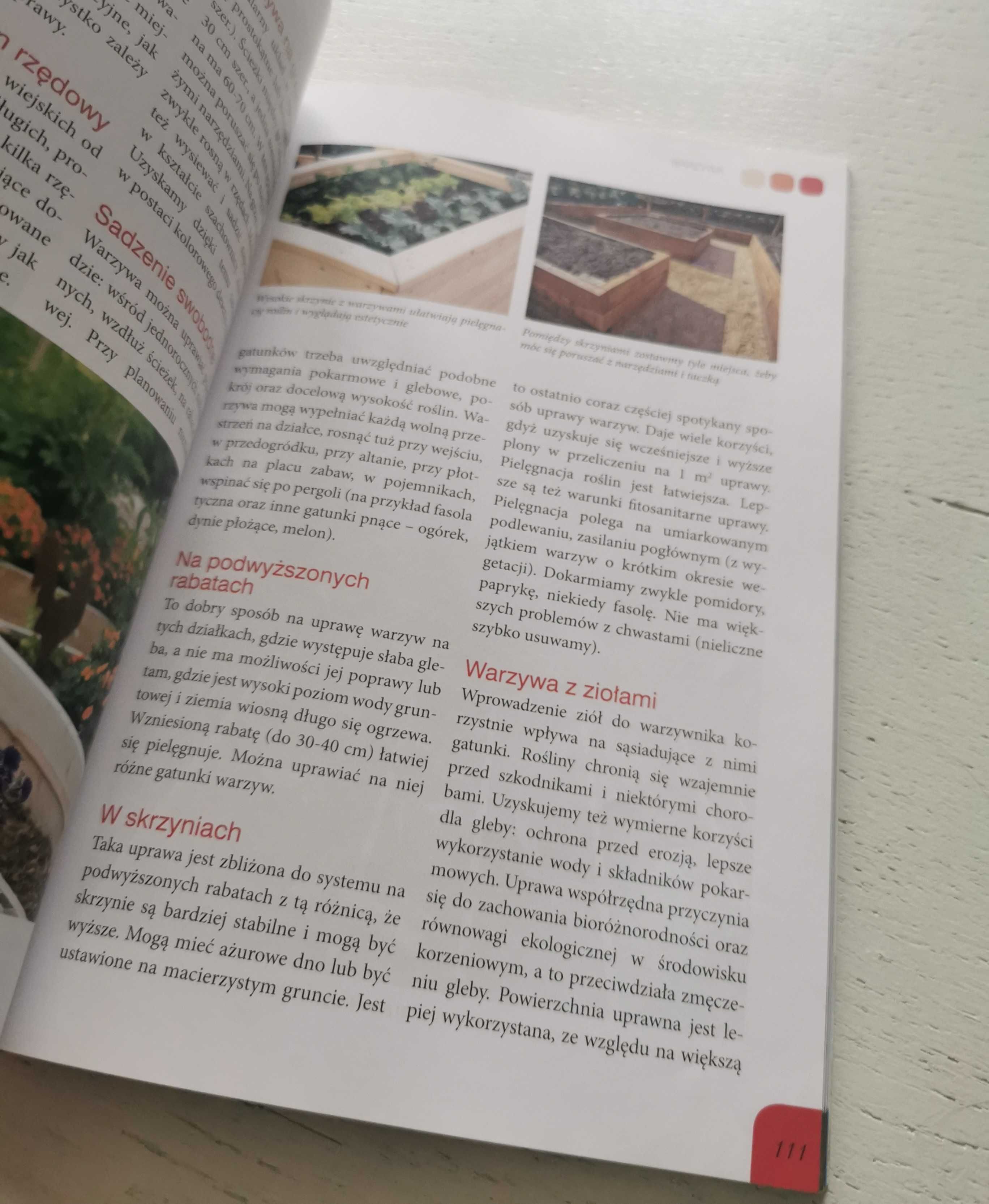 Poradnik Początkującego Działkowca – książka dla miłośników ogrodów