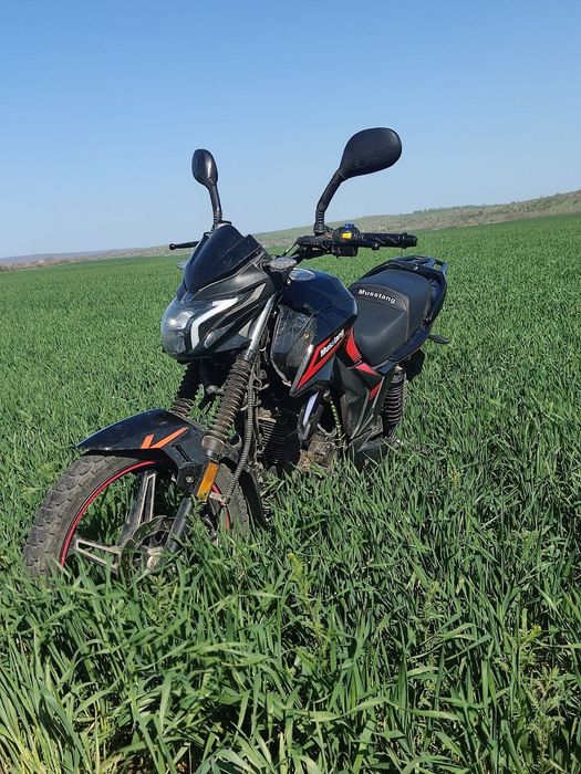 Мустанг мт 250-9r