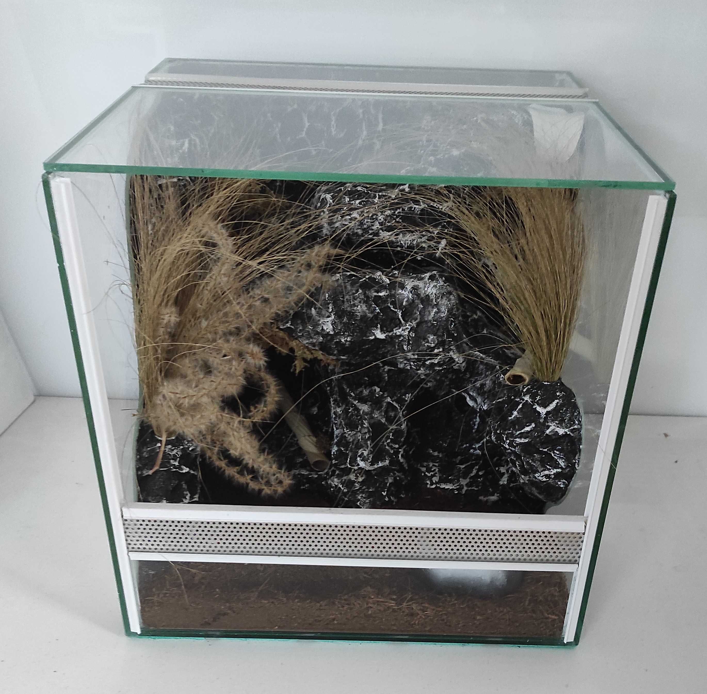 Terrarium dla ptasznika, TW49ST, AquaWaves