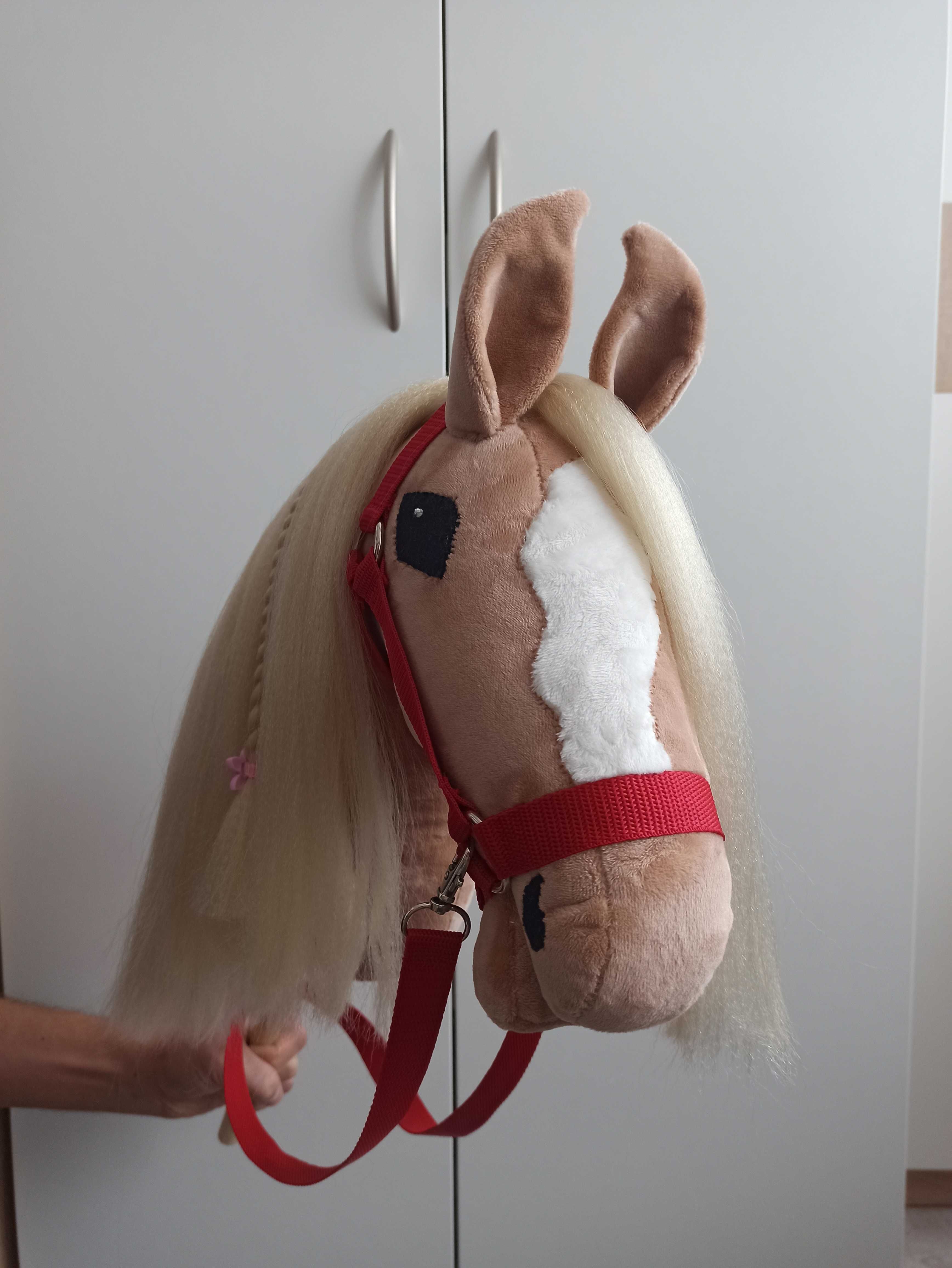 Hobby horse izabelowaty