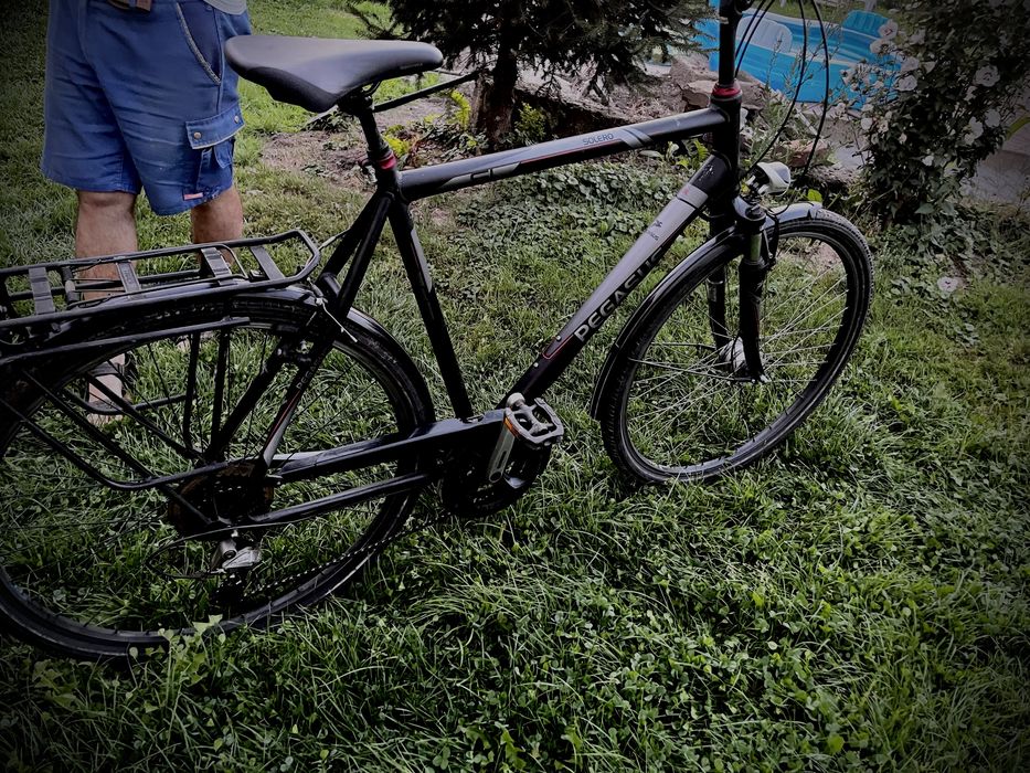 Rower Pegasus Solero SL