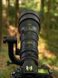 Nikon AF-S Nikkor 600mm 1:4 G ED VR + Nikon AF-S TC-14E II