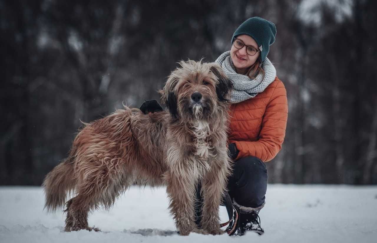 Hogan - kosmate cudo wypatruje kochającego domu!