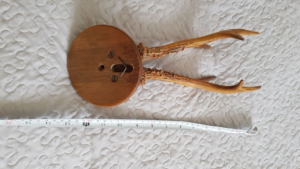 Poroże jelonka do dekoracji  mieszkania.