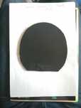 Borracha DONIC Bluefire M2 - Ténis de Mesa - Ping Pong