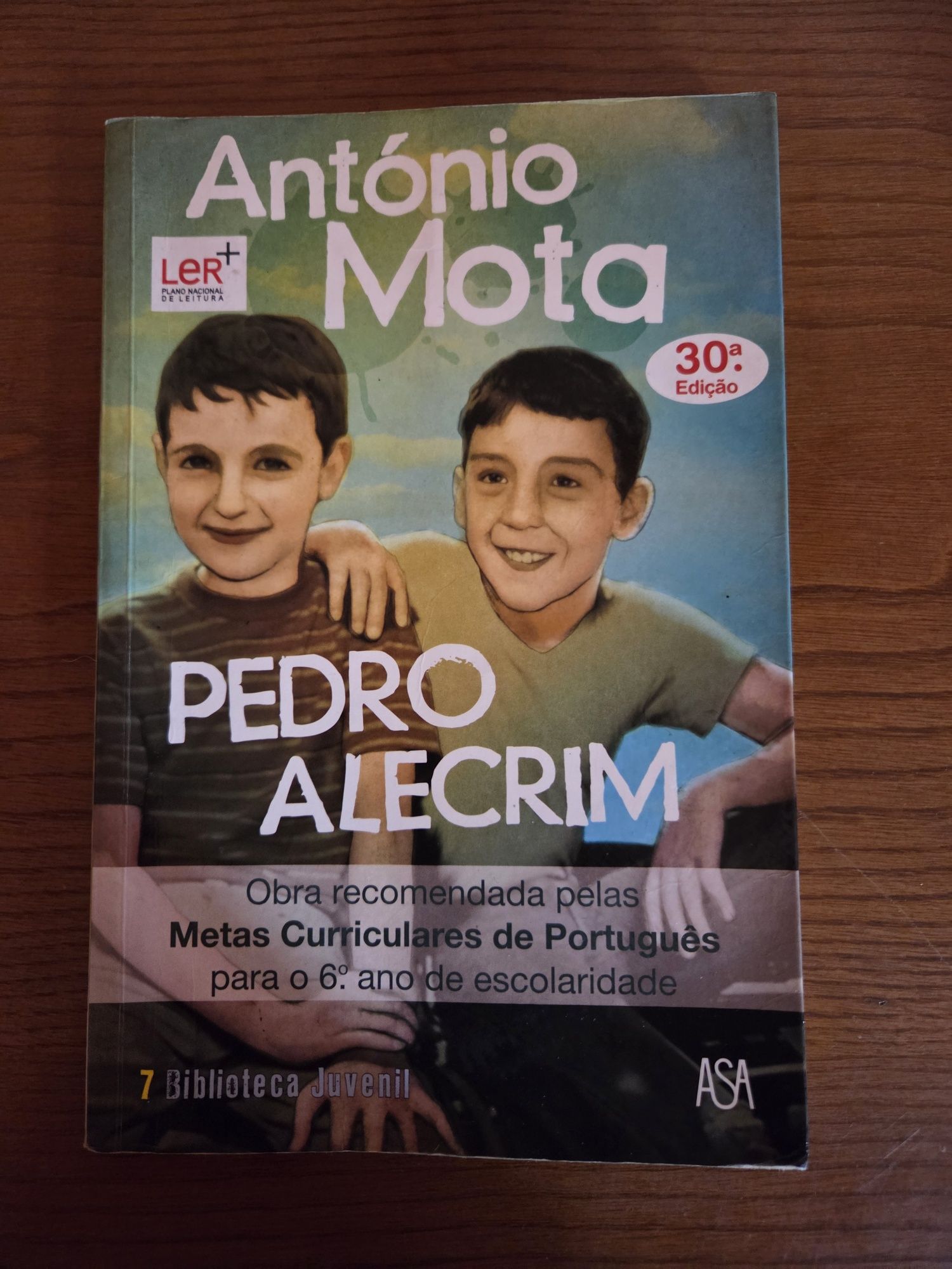 Livro "Pedro Alecrim" - António Mota