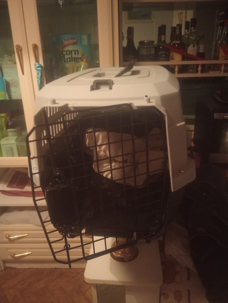 Caixa de transporte de cão ou gato