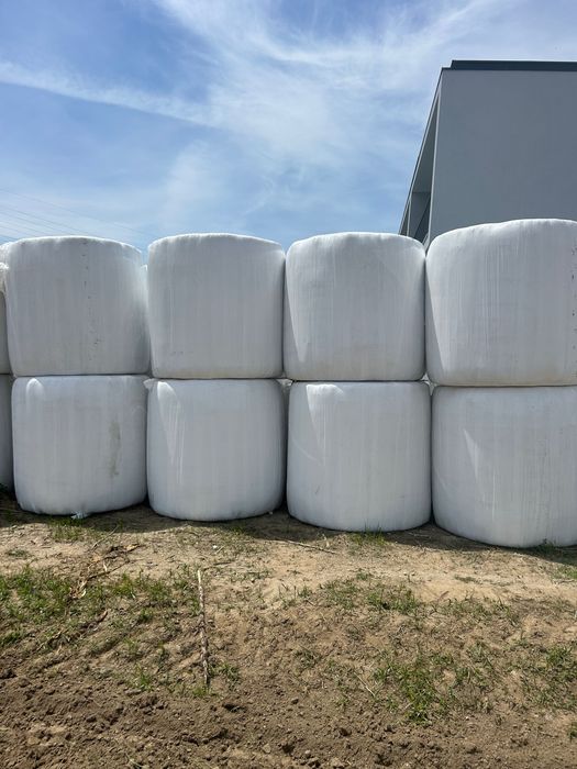 Rolos de feno silagem