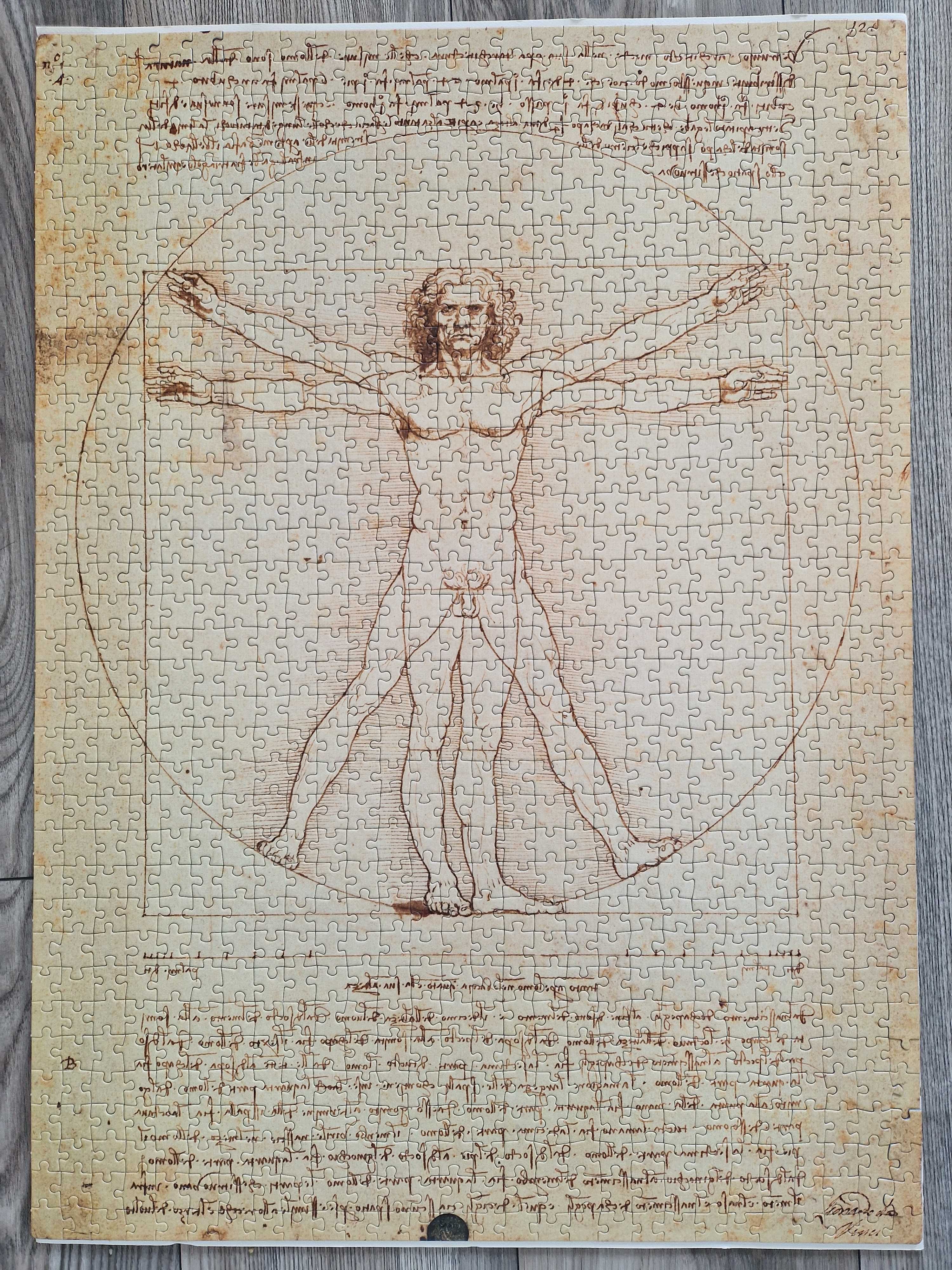 Puzzle 1000 Museum Collection - Leonardo Vitruvian Man