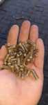 Pellet drzewny 6mm cena brutto