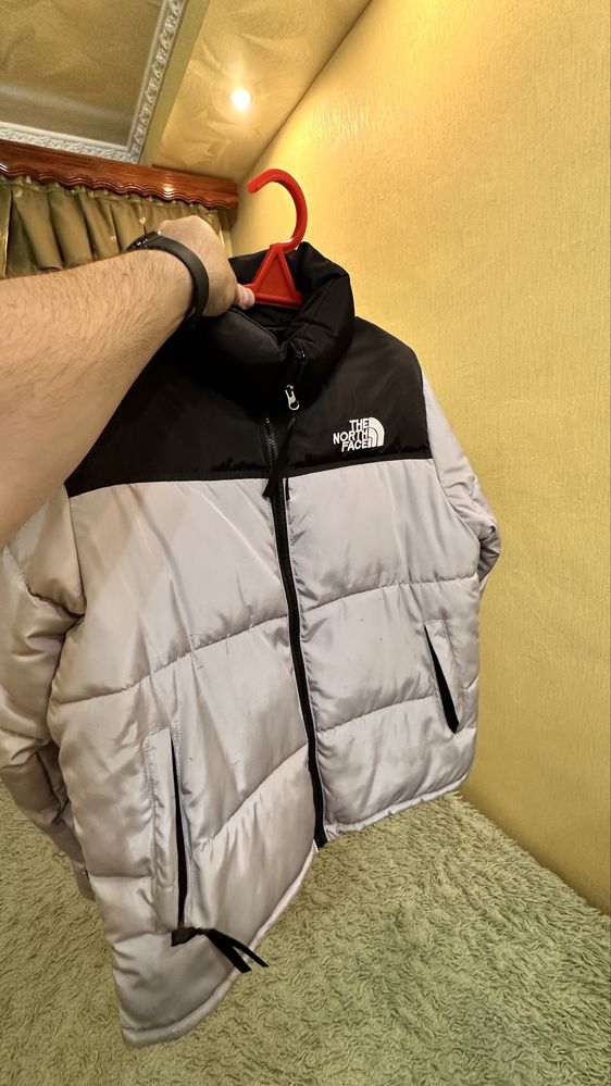 Мужской пуховик TNF