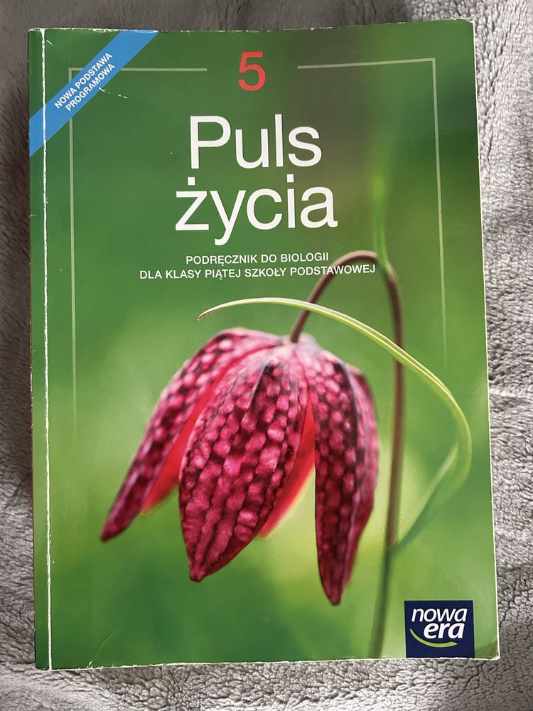 podeeczniki 5 klasa