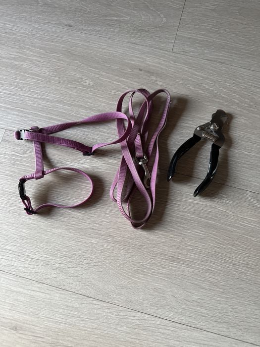 Oddam za darmo szelki dla kota albo królika