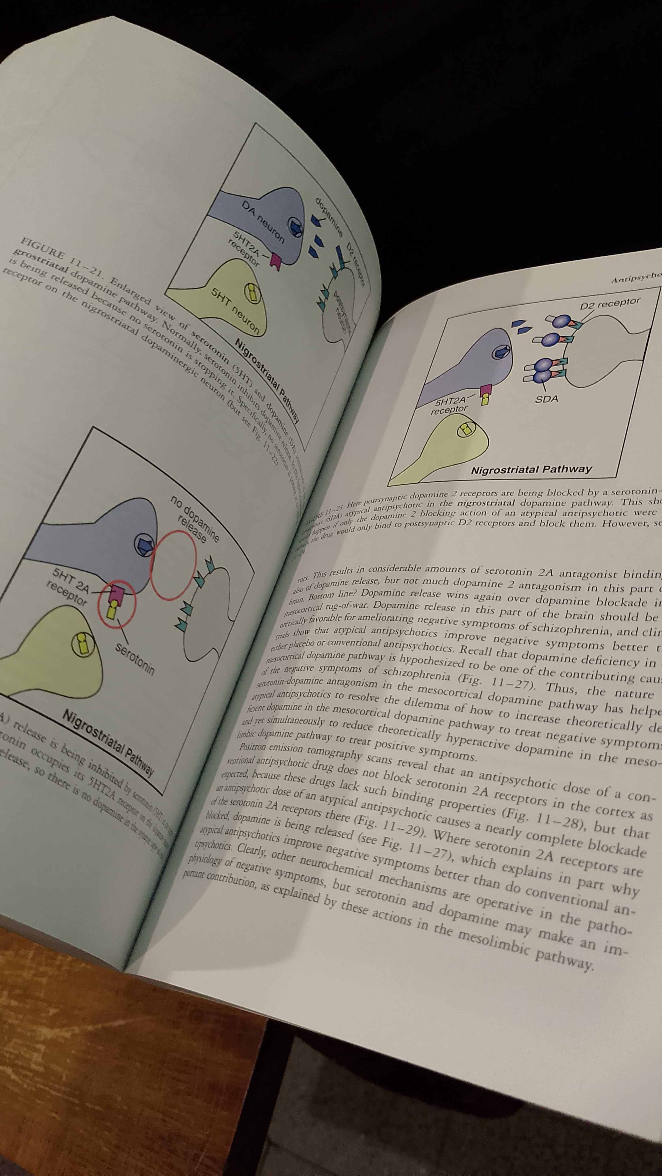 Essential Psychopharmacology - Stephen M. Stahl