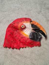realistyczna paska papuga