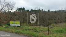 Terreno  2.5 ha, Maçainhas