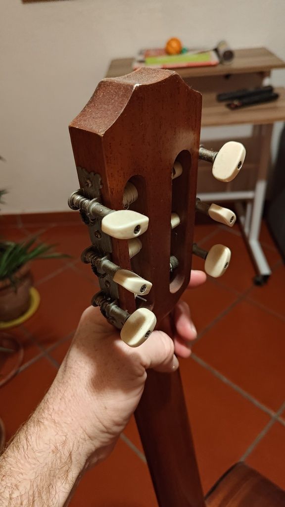 Guitarra  lusitana gc 100