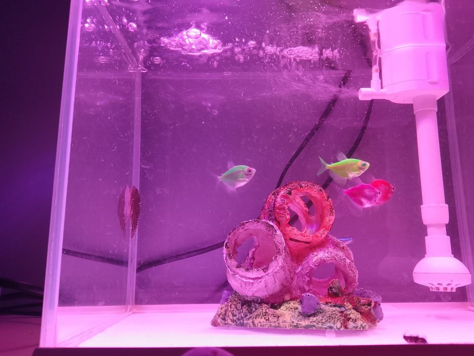 Akwarium na sprzedasz wszystko co na zdj w bardzo dobrym stanie jak no