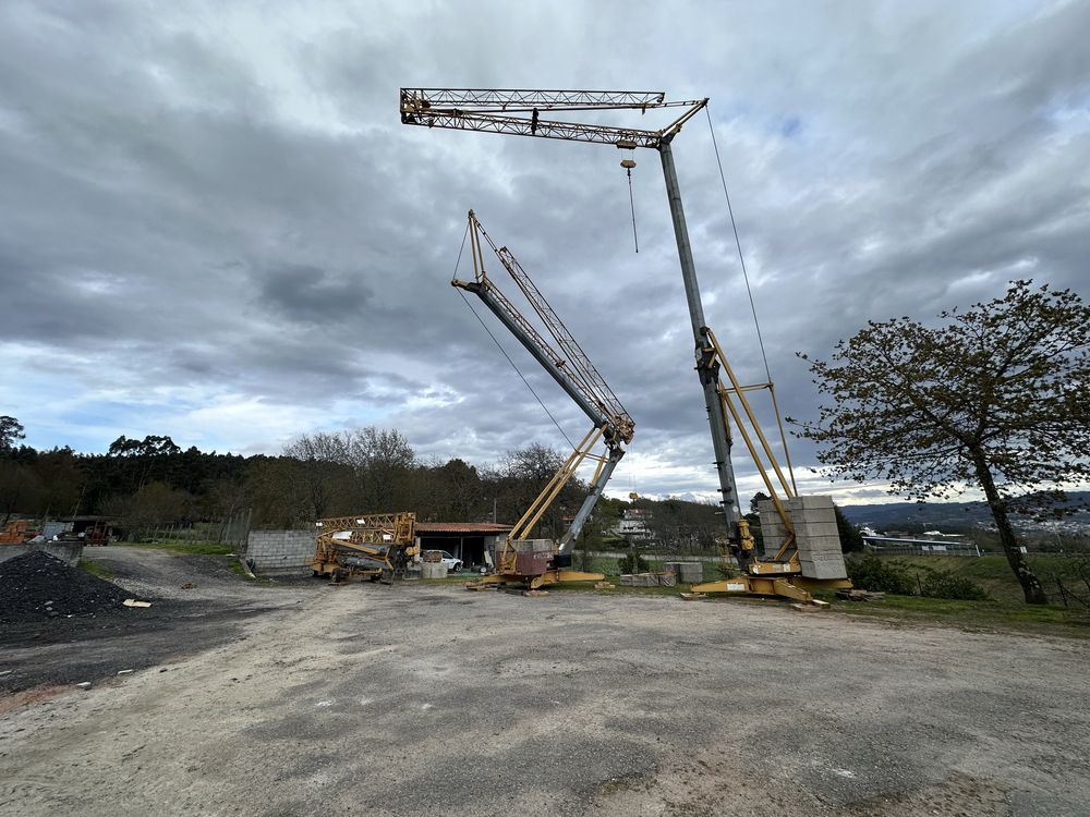 Grua automontante Potain hd21