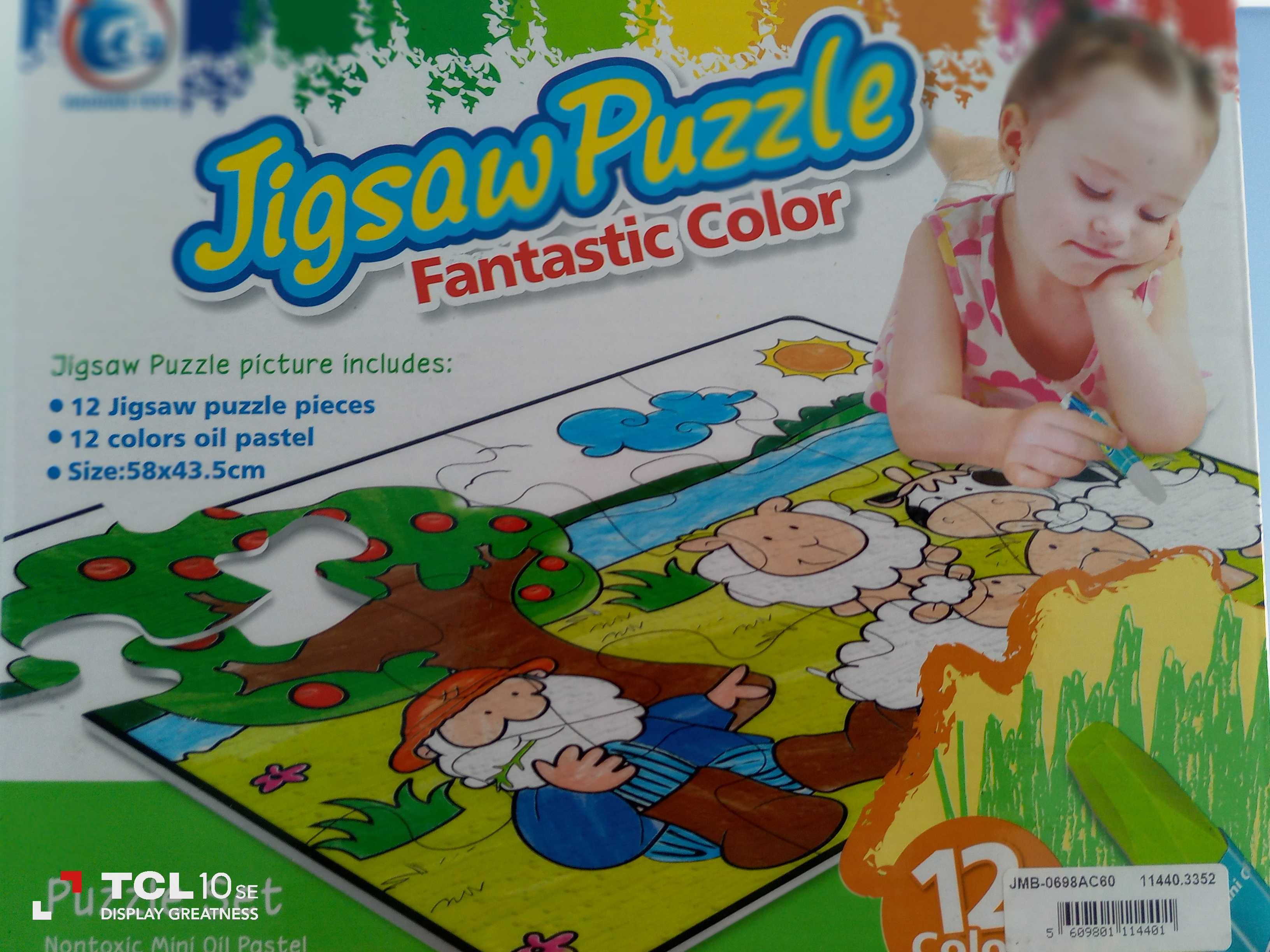 Jigsaw puzzle picture